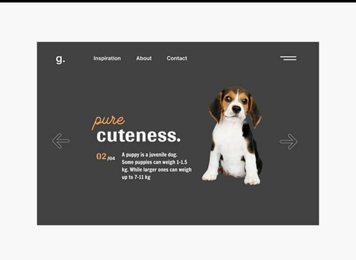 Vet Landing Page